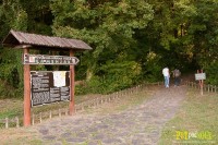 OAK GLEŽNJAK