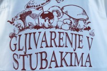 MUSHROOM V STUBAKI, 14th OCTOBER 2017.
