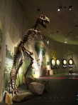 KRAPINA NEANDERTHAL MUSEUM