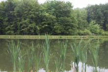SPORTS - RECREATIONAL LAKE JARKI