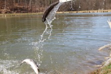 SPORTS - RECREATIONAL LAKE JARKI