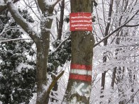 KAJBUMŠČAK ROAD