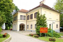 RESTAURANT CASTLE MIHANOVIĆ 