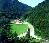 RESTAURANT ZELENJAK