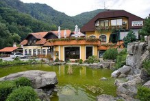 RESTAURANT ZELENJAK
