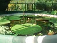 ZAGREB GREEN HORSESHOE (LENUCI HORSESHOE)