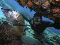 BEAUTIFUL, CLEAN AND RICH UNDERWATER