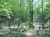 WALKING TRACK "FOR BODY AND SOUL MIRKO FULIR"