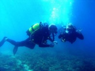 DIVING IN ZADAR SEA