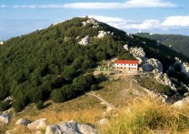 BIJOUX OF GREEN LIKA - THE BEST IN LIKA-SENJ COUNTY