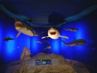 NATURAL HISTORY MUSEUM IN RIJEKA