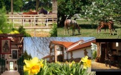 l with socializing with the horses! Three days for the whole family at the estate Visnjic