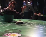 40-TH FROGNIGHT, LOKVE, 29.04.2017.