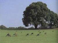 NATIONAL PARK BRIJUNI