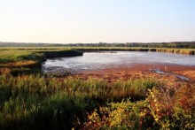 ORNITHOLOGICAL PARK PALUD, ROVINJ