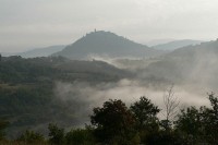 MOTOVUN FOREST