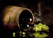 WINE DAY, 28.05.2017.