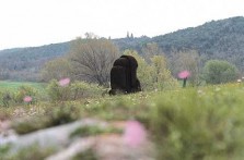 PARK SCULPTURES FROM DUŠAN DŽAMONJ
