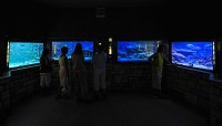 AQUARIUM  ROVINJ 