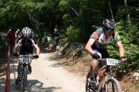 BIKE ROAD - BUZET NORTH