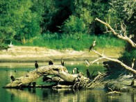 NATURE PARK KOPAČKI RIT