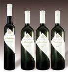 WINERY ARMAN FRANC, VIŽINADA	
