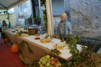 WINERY BENVENUTI, MOTOVUN