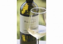 WINERY BENVENUTI, MOTOVUN