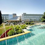 HOTEL MAESTRAL****, NOVIGRAD