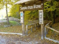 FOREST PATH BLIZNEC