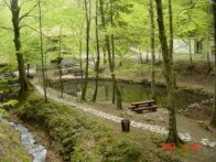 QUEEN'S WELL
