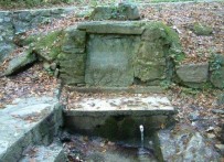 QUEEN'S WELL