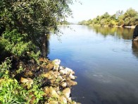 ORNITHOLOGICAL RESERVE SAVA – STRMEC