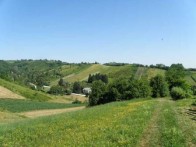 SVETANEDELJA HILLS
