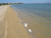 NATURAL SANDY BEACHES - NIN