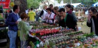 FLOWER DAYS IN SVETI FILIP AND JAKOV, TRAVANJ 2018.