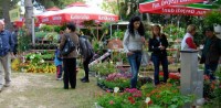 FLOWER DAYS IN SVETI FILIP AND JAKOV, TRAVANJ 2018.