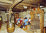 VINEYARD ON ISLAND PELJEŠAC