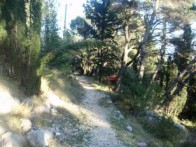 HIKING ON ISLAND PELJEŠAC