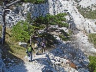 HIKING ON ISLAND PELJEŠAC