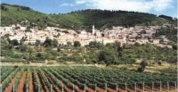 PINĆALUŠA AND POŠIP VINEYARDS, SMOKVICA, ISLAND KORCULA
