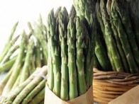 ASPARAGUS