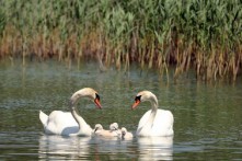 VRANA LAKE NATURE PARK