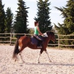 RIDING, BRODARICA