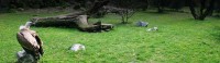 ZAGREB ZOO 