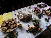 LUMBLIJA DAYS, ISLAND OF KORČULA, OCTOBER - NOVEMBER 2017.