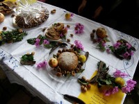LUMBLIJA DAYS, ISLAND OF KORČULA, OCTOBER - NOVEMBER 2017.
