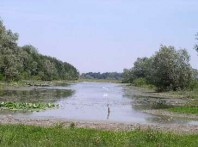 NATURAL RESERVE GAJNA