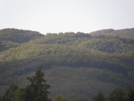 SPECIAL FOREST VEGETATION RESERVE  MUŠKI BUNAR