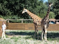 ZOO IN OSIJEK